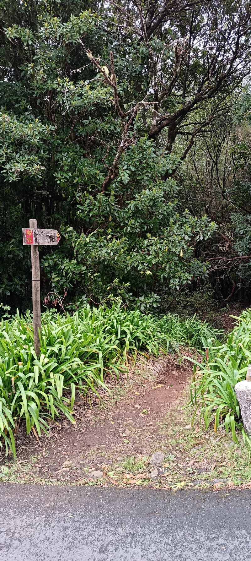 ER 228 regional road crossing point on the PR 22 Vereda dos Chão dos Louros trail