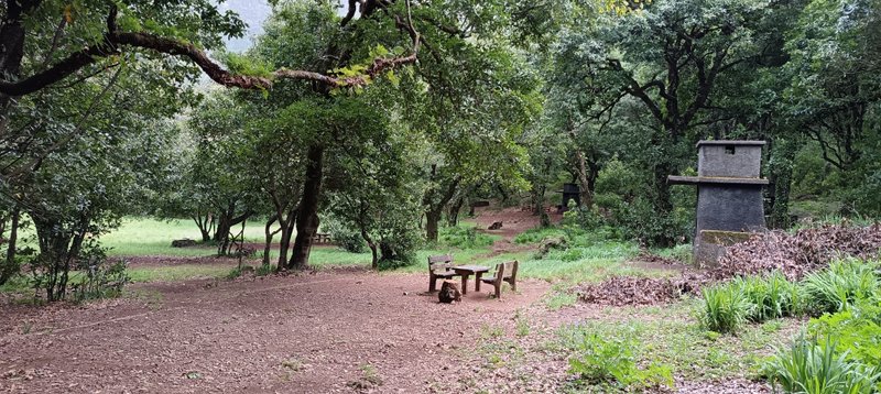 Forest picnic tables and barbecue house at Chão dos Louros Forest Park
