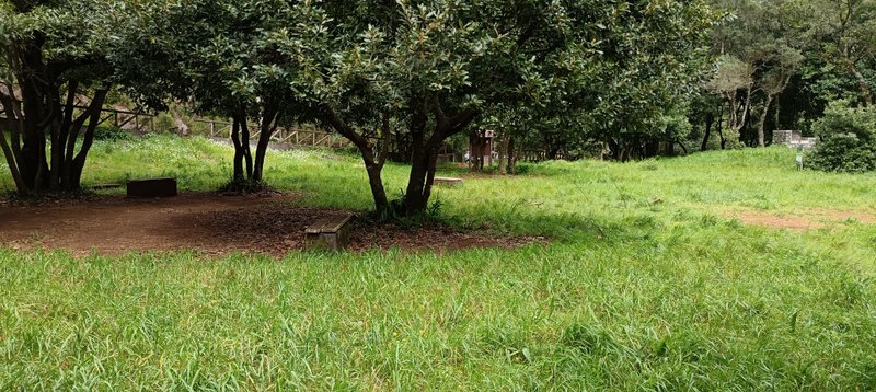 Picnic and camping area at Chão dos Louros Forest Park on the PR 22 circular trail