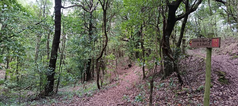 Wooden railing along the shared PR 21 and PR 22 trail at Chão dos Louros