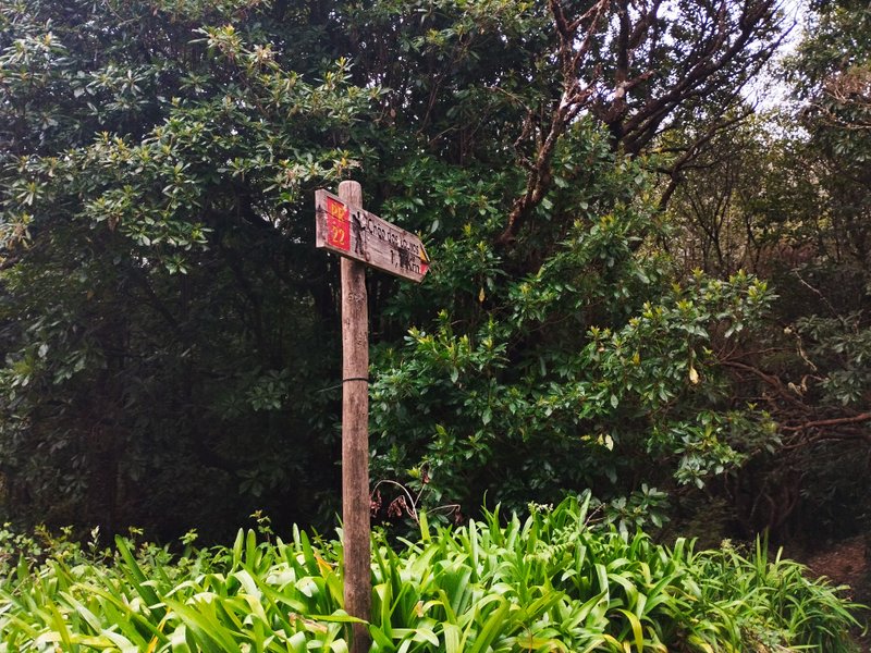 Vereda dos Chão dos Louros